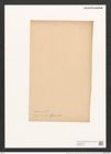 Pleurosigma decorum var. dalmaticum Grun. (de-Toni-Nr.: Genus 13, Species 1041) Zeichnungen Sammlung Grunow (NHMW-BOT-W0368970)